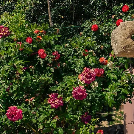 Dependance In Con Piscina * Ragusa